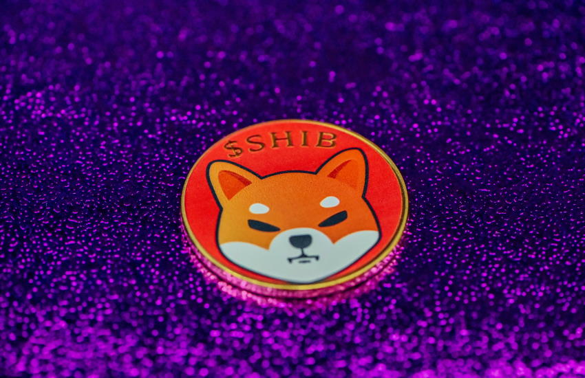 Shiba Inu Anticipated to Post Its Most Monthly Gains Since 2022