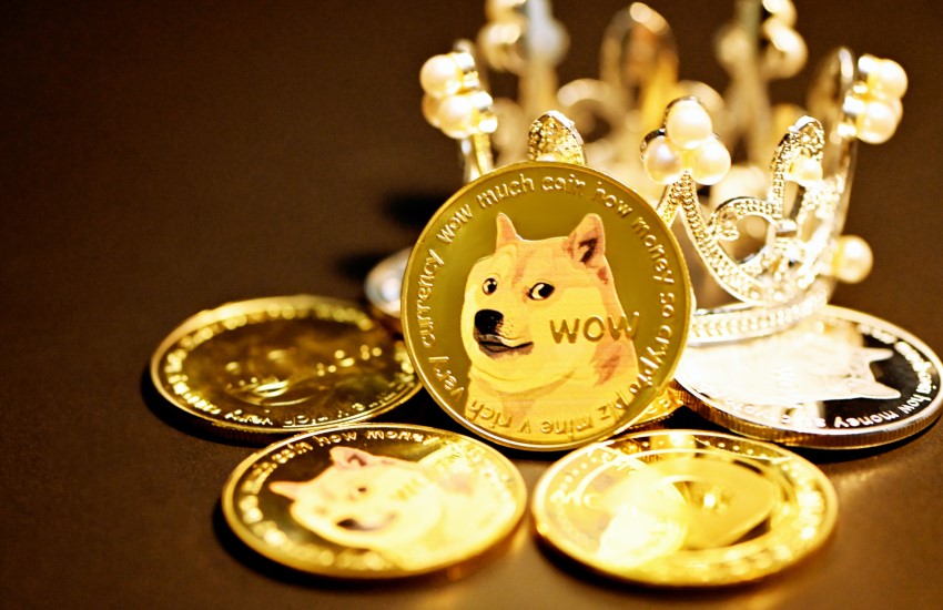 Project Lead Shares Why Shiba Inu's Welly is "Most Valuable"